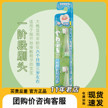 日本进口Yucca牙刷头儿童宝宝成长型电动声波牙刷3个阶段替换刷头