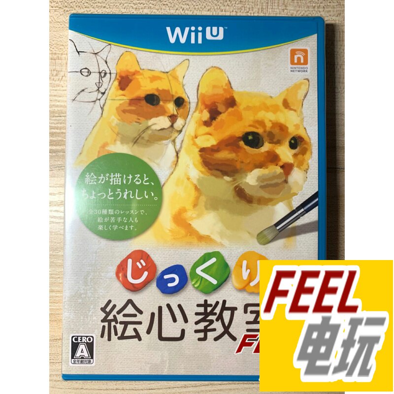 WIIU Painted Heart Classroom R Edition Brand New Medieval*