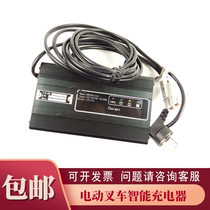 Forklift charger 12V15A 18A 20A semi-electric raised car stacker Noli Hunter charger