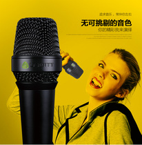 LEWITT Levitt MTP 840 DM moving circle microphone professional stage performance wired handheld microphone