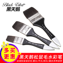 American Black Swan Black Velvet Goose Down Squirt Wool watercolor board Brushed bottom tattooy brush 3014s