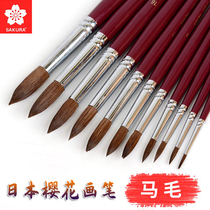 Japan cherry blossom horse wool watercolor pen 271 long pole head-head brushed water powder propylene Horse mane brush 278 student