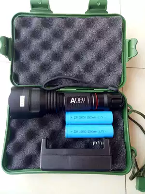 ANFU Electronics ANFU original high-definition version of 5W Walwood lamp imported lamp beauty salon pet hospital supply