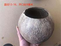 Natural coconut shell opening 9 0 cm old coconut shell craft materials (minimum order of 100 pieces) place an order and pay on delivery