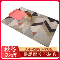 Dog pad cat cushion sleeps with autumn and winter resistant to bite winter warmth without sticky four seasons universal detachable winter