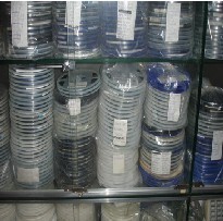 (Fengwang Electronics) Supply Fairchild Brand New Original FDC6320C SOT163 Quality Assurance Excellent Price