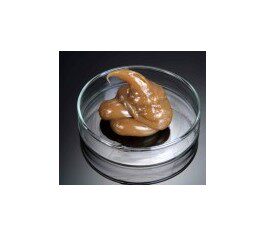 Food machinery greases 2 high temperature food machinery grease cream 280 degrees high and low temperature food fat 2KG