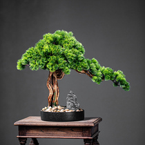 Simulation welcome pine bonsai bonsai ornaments dry landscape green planting Zen new Chinese living room hotel home entrance micro landscape