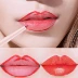 Sơn môi tạo tác môi dòng bút nữ hook line lip pen loại son môi dòng cọ đôi sử dụng hai đầu bút chì môi - Bút chì môi / môi lót