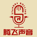 腾飞声音