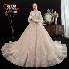 Свадебное платье 特大码婚纱礼服2020新款新娘奢华大码胖mm妹妹200斤加肥遮粗手臂