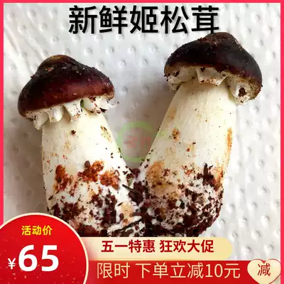 Selection of fresh Agaricus blazei Mill 1000g Yunnan specialty Shangri-La wild wild fungus Shanzhen Brazil mushroom
