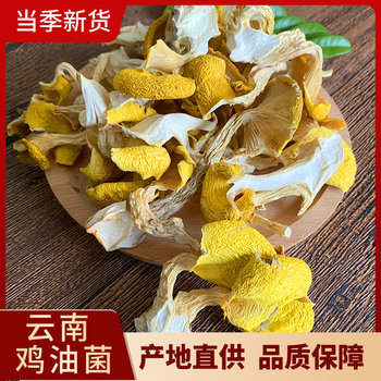 Yunnan Dried Chanterelle Mushrooms, Golden Mushrooms, Yellow Oyster Mushrooms, Shiitake Mushrooms, Mountain Delicacies, Local Specialty 250g Free Shipping, Wild Yellow Silk Mushrooms