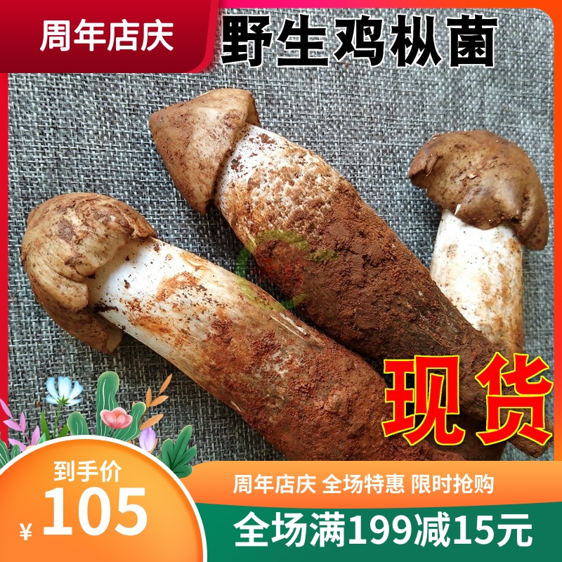 Spot fresh wild chicken silk mushrooms 500g Chicken indulgenia Yunnan wild bacteria to produce three mushrooms fresh fire to treat the fungus wild chicken brown