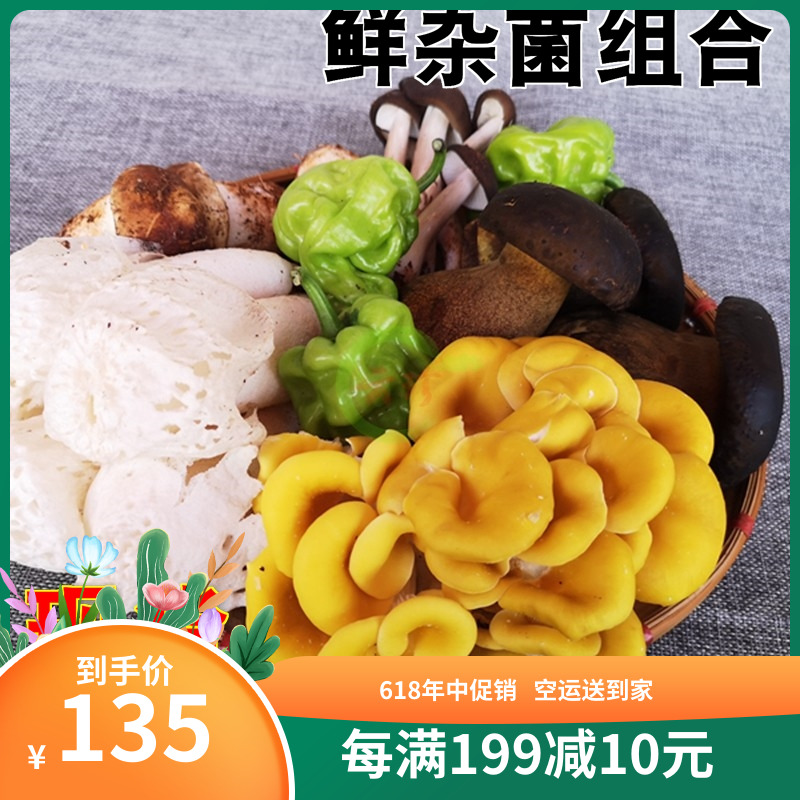 Fresh mushroom bamboo fungus combination package 1000g Yunnan specialty black porcini mushroom Agaricus Matsutake Mountain Zhen set fresh chicken rice