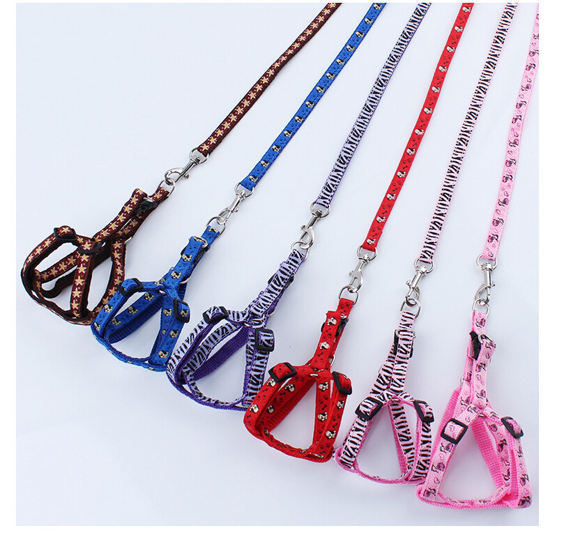Dog Traction Rope Pet Kitty Rabbit Traction With Teddy Bib Bear Breast Cuddling Bag Infant Chain Son Walk Dog Rope Cat Rope