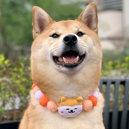 Хэллоуин Новый год рождественский весенний фестиваль мультфильм мяч Ball Cat Dog Pet Рождество Тедди Шиба Ину воротник с регулировкой