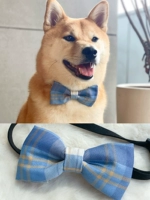 Синяя сетка мороженого