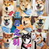 Customized pet birthday with Japanese name, dog Shiba Inu, Corgi bull cat, plaid scarf, triangle scarf, mouth towel