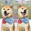 Customized pet birthday with Japanese name, dog Shiba Inu, Corgi bull cat, plaid scarf, triangle scarf, mouth towel