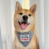 ПЭТ -собака кот и кошка Шибай Ину Корги Японская драма -сперма -треугольник рот водяной полотенце большое, средний декоративный нагрудник с средним размером