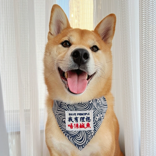 ПЭТ -собака кот и кошка Шибай Ину Корги Японская драма -сперма -треугольник рот водяной полотенце большое, средний декоративный нагрудник с средним размером