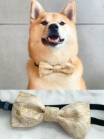 Цвета шампанского, в цветочек