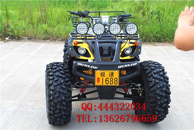 150CC-250CC lớn bull ATV 12 inch bốn bánh off-road xe máy ổ trục với sự khác biệt