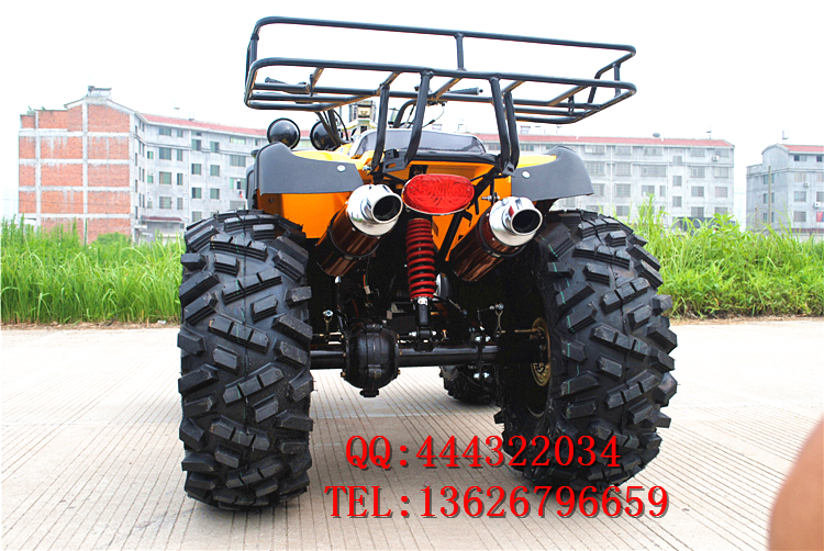 150CC-250CC lớn bull ATV 12 inch bốn bánh off-road xe máy ổ trục với sự khác biệt