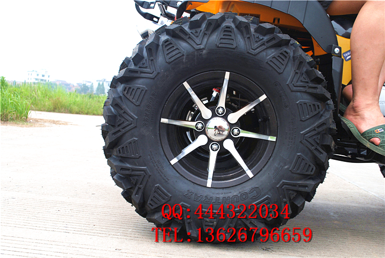 150CC-250CC lớn bull ATV 12 inch bốn bánh off-road xe máy ổ trục với sự khác biệt