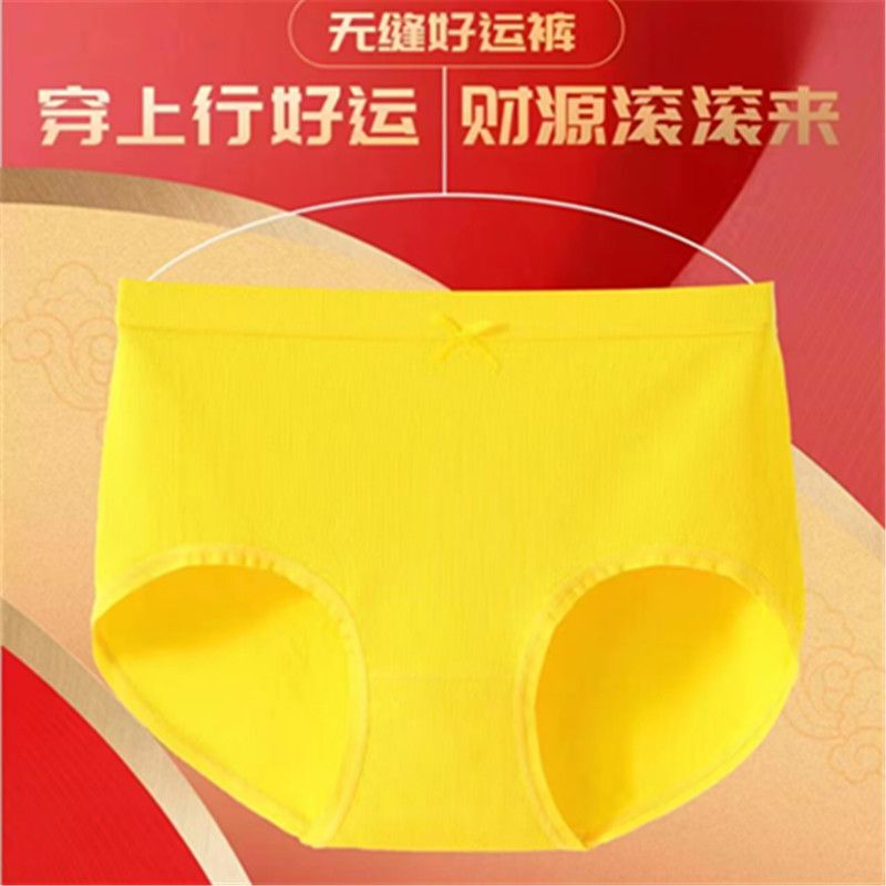 Women's Yellow Seamless Briefs, Large Size, High Elasticity Underwear, Zodiac Year Golden Yellow Underwear, Leap Year Yellow Socks