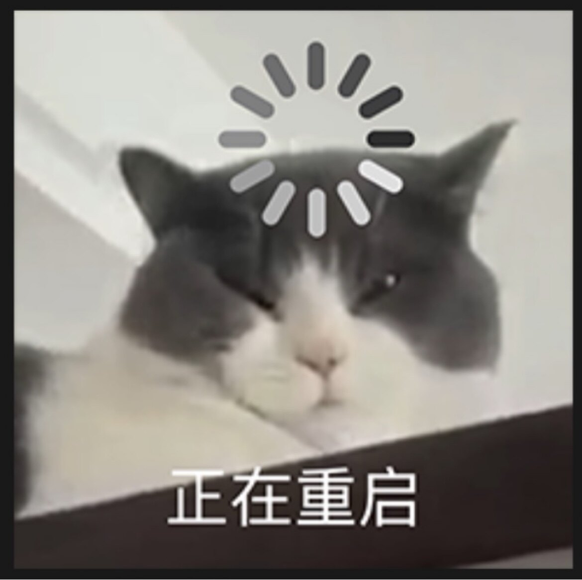 苏西是只羊的LOGO