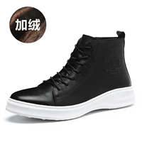 Белое дно плюс бархатная модель