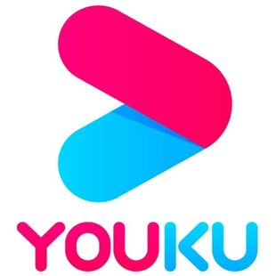 优酷视频会员12个月一年充值到账