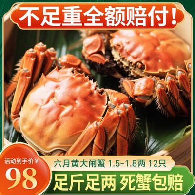 【活蟹】鲜活大闸蟹1.5-1.8两装六月黄现货超大螃蟹水产礼盒