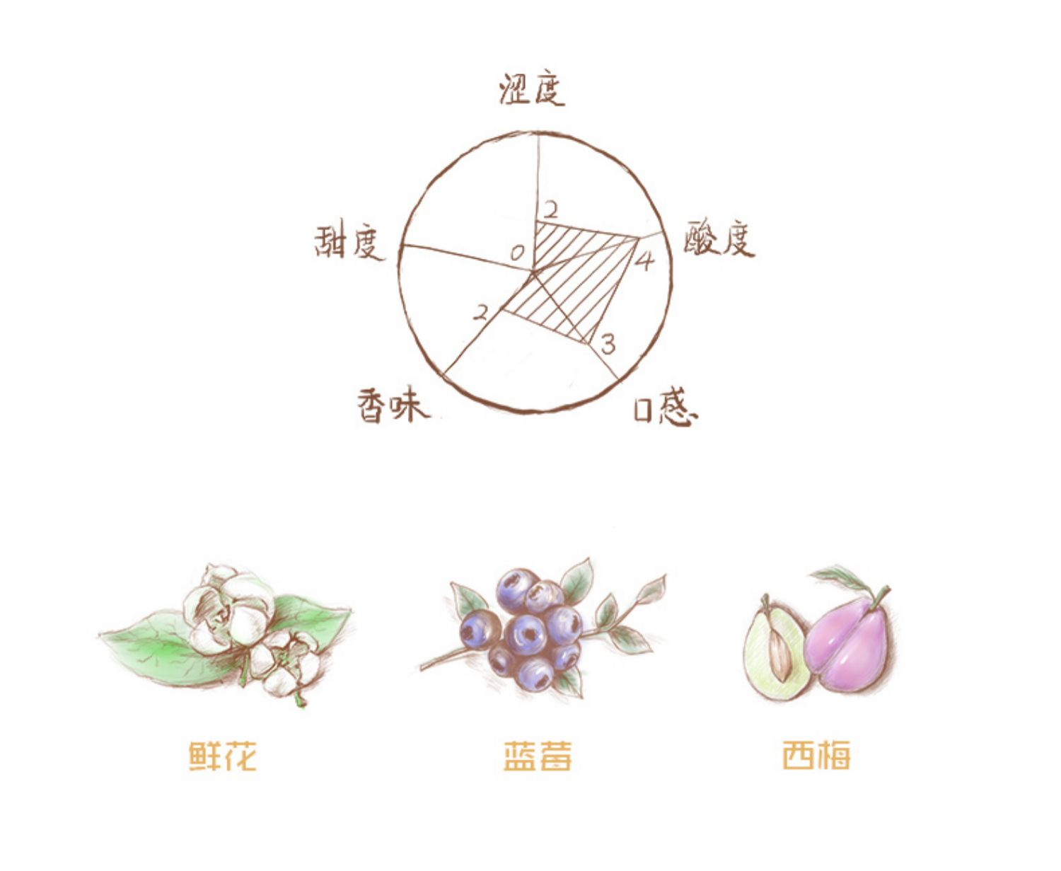 买1箱送1箱西班牙法国原瓶进口红酒自饮半干