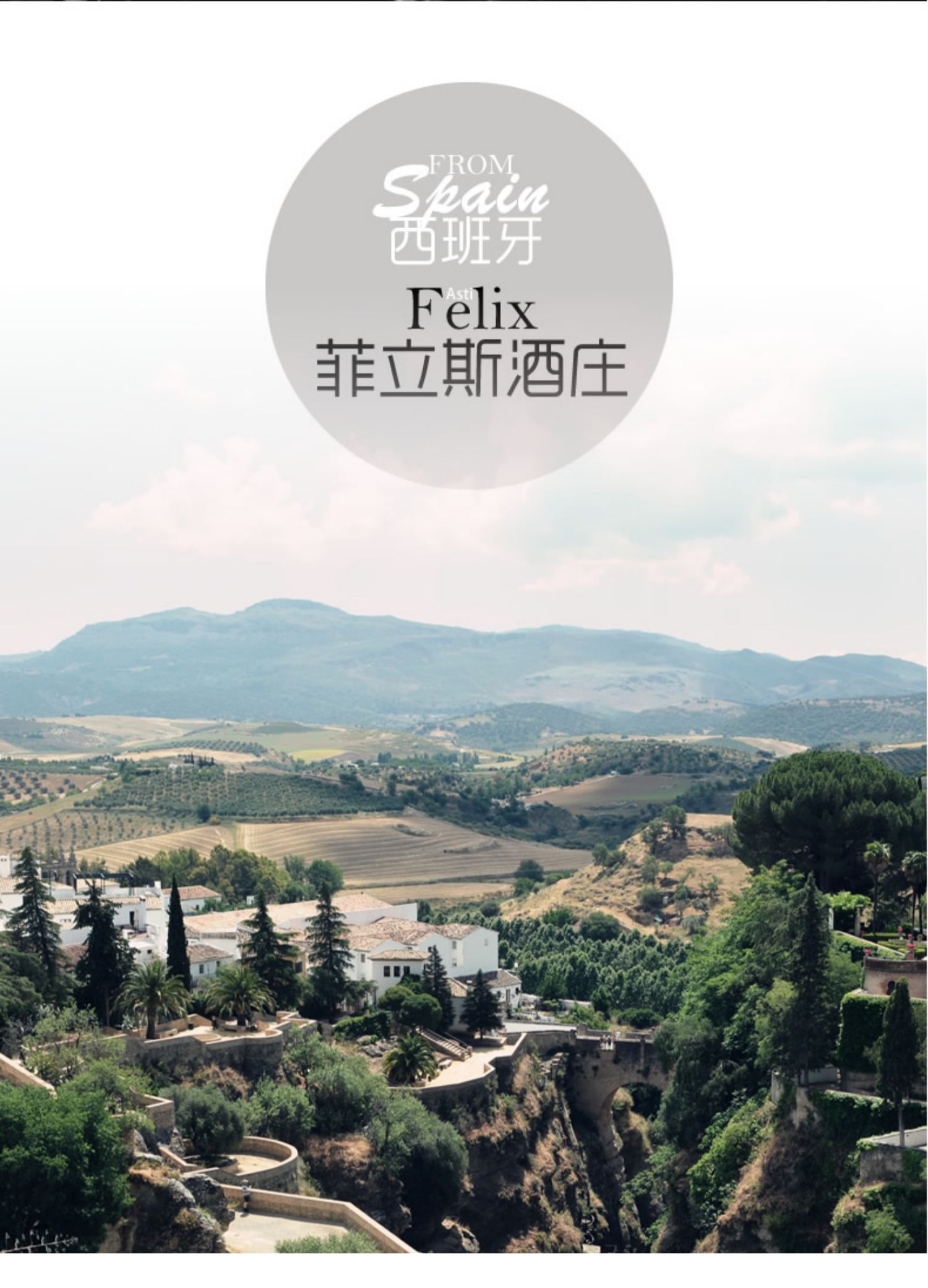 买1箱送1箱西班牙法国原瓶进口红酒自饮半干