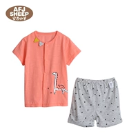 SJB60619 Showllowling Orange