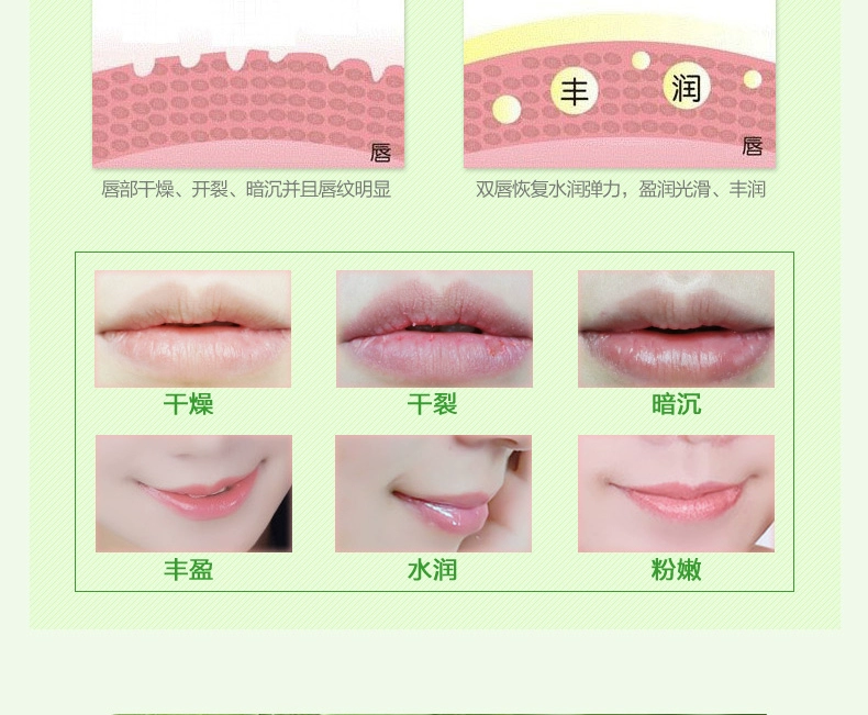 Jiepai Lip Balm 2 Bộ Giữ Ẩm Giữ Ẩm Không Màu Giữ ​​Ẩm Lip Care Lip Balm Phai Lip Pattern Chống Nứt