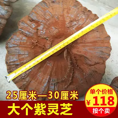 Large purple Ganoderma lucidum pruned semi-wild black Linzhi powder Ganoderma lucidum (diameter 25cm-30cm) from a single 118 yuan