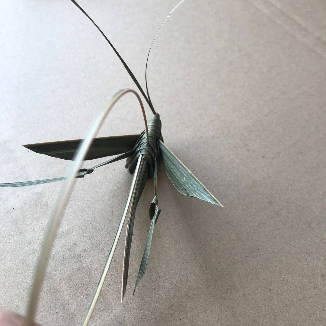 Grass-knitted animal brown leaf air-dried material to make simple grasshopper grasshopper ancient clothing Photographic Props Children Toys Stall-Taobao