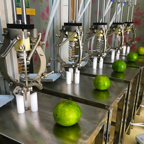 Pneumatic Tangerine peel machine Xinhui citrus peel peeling Mesopod tool Citrus stainless steel peel opener Open citrus peel