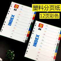 12-color plastic color paging paper 11-hole spacer paper PP plastic paging paper index paper A4 classification paper Spacer paper Data classification folder Spacer data spacer index