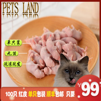 Jingdong Yuantong frozen mouse milk mouse red skin powder skin white frost open eyes open food Pet feed Cat food