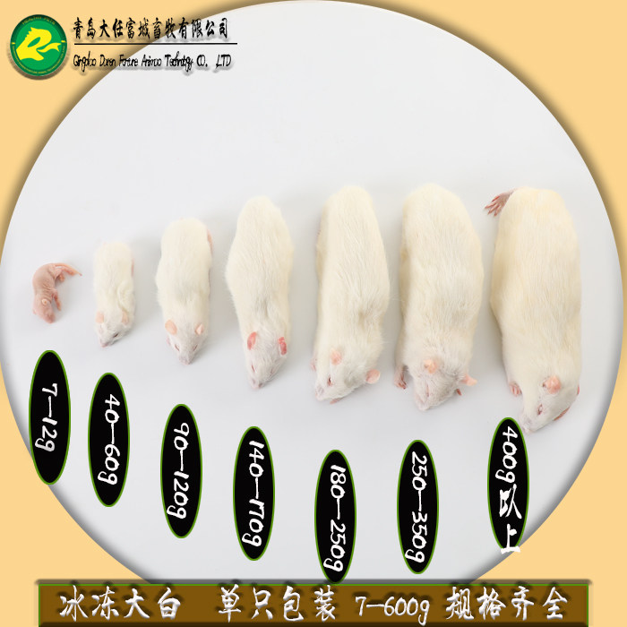 SF single package quick-frozen rat cat food open climbing pet feed frozen red skin sub-adult