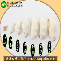 Jingdong single package frozen big white rat cat food open climbing pet feed frozen red Pia adult