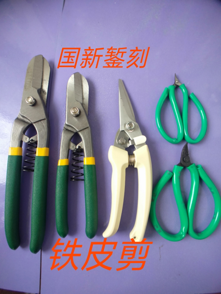 Curium porcelain tool iron shears