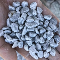 Gray gravel gray stone wash pebble garden green outdoor courtyard landscape