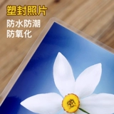 5/6 дюймовые фото стирания, печать, ламовая полоска, сертификат печати, фото, фото, мобильный телефон фото уплотнение