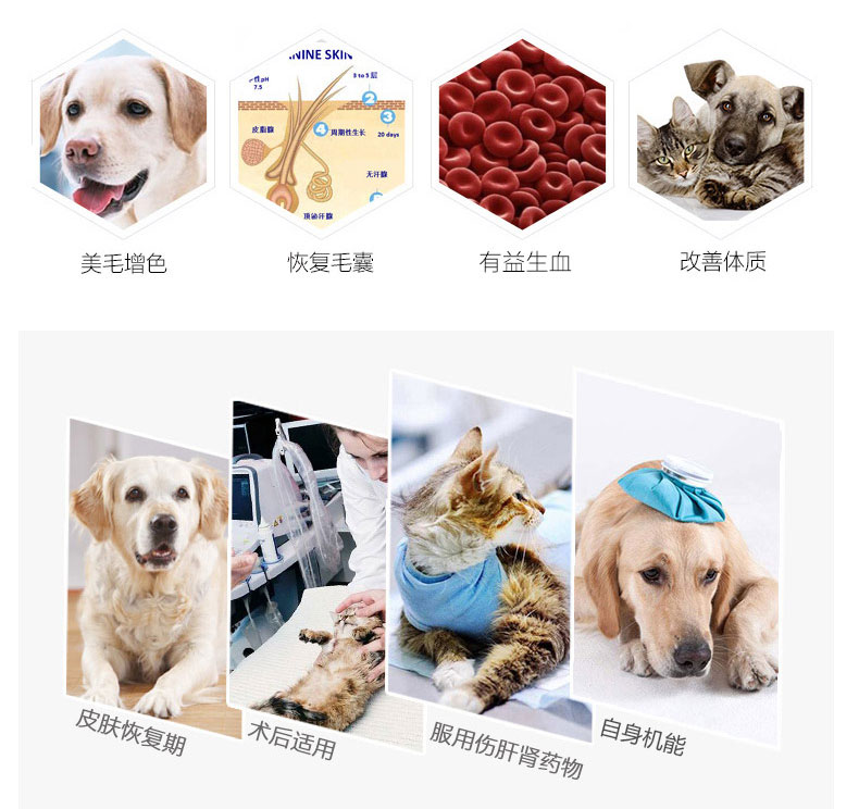 Baika mèo hoa mẫu đơn mèo viêm miệng mèo cưng chó làm đẹp tóc đa vitamin b bệnh da điều trị nấm mèo hoa mẫu đơn - Cat / Dog Medical Supplies các loại vật tư y tế cho thú cưng